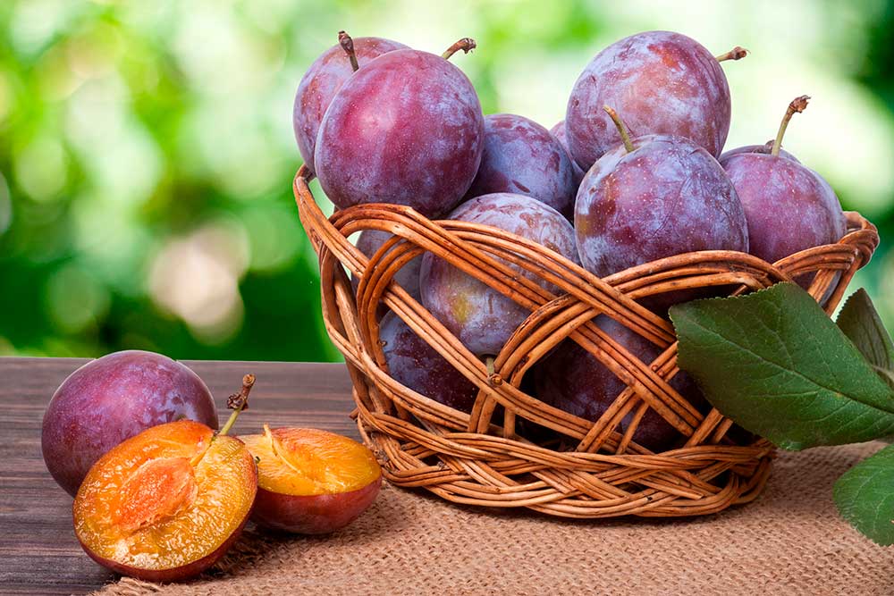 Te enseñamos frutas de primavera para que las disfrutes - La Vieja Fábrica Te enseñamos frutas de primavera para que las disfrutes